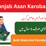 CM Punjab Asan Karobar Card