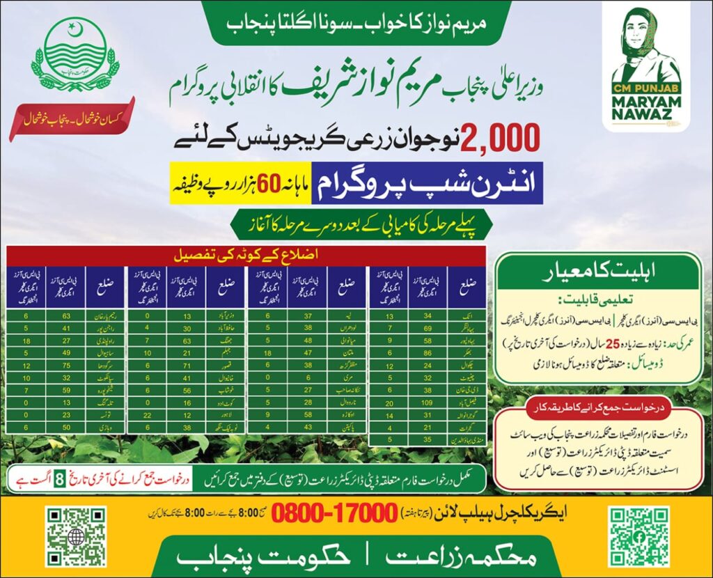 CM Punjab Internship Program 2025 district quota