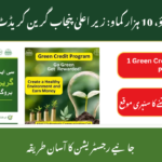 CM Punjab Green Credit Program