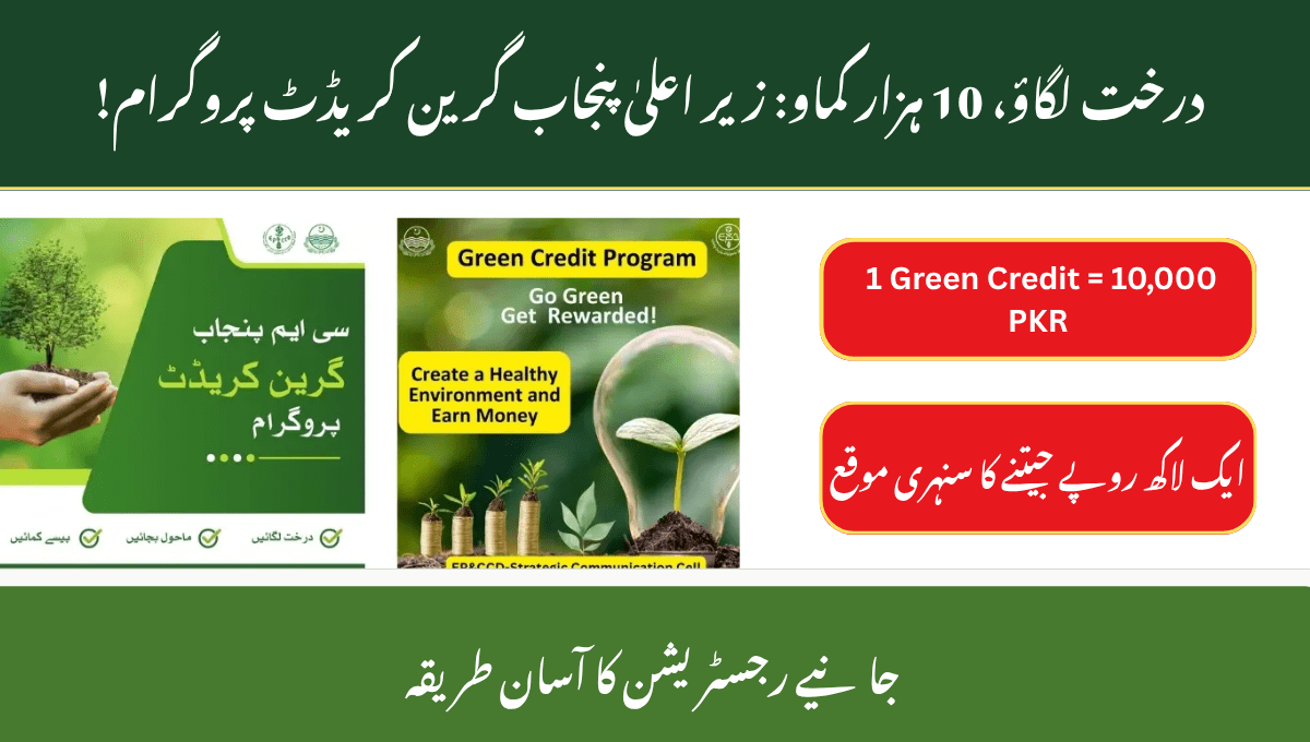 CM Punjab Green Credit Program