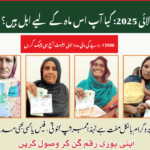8171 BISP July 2025 Eligibility Check