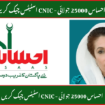 8171 SMS Not Received for Ehsaas 25000 July Payment