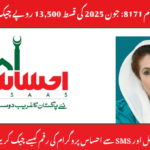  احساس پروگرام 8171 – پیسے چیک کرنے کا مستند طریقہ (2025)