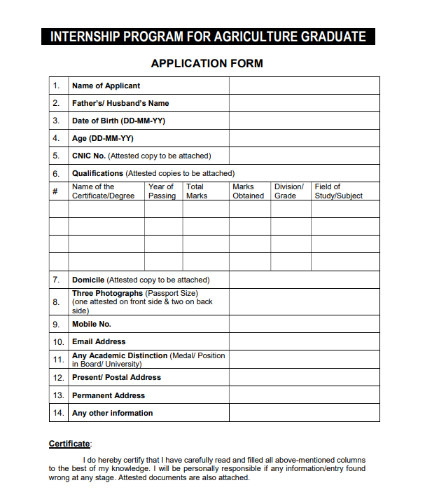CM Internship Program 2025 application form