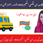 CM Punjab E-Taxi Scheme 2025