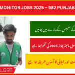 PSER Tehsil Monitor Jobs 2025 – Apply Online
