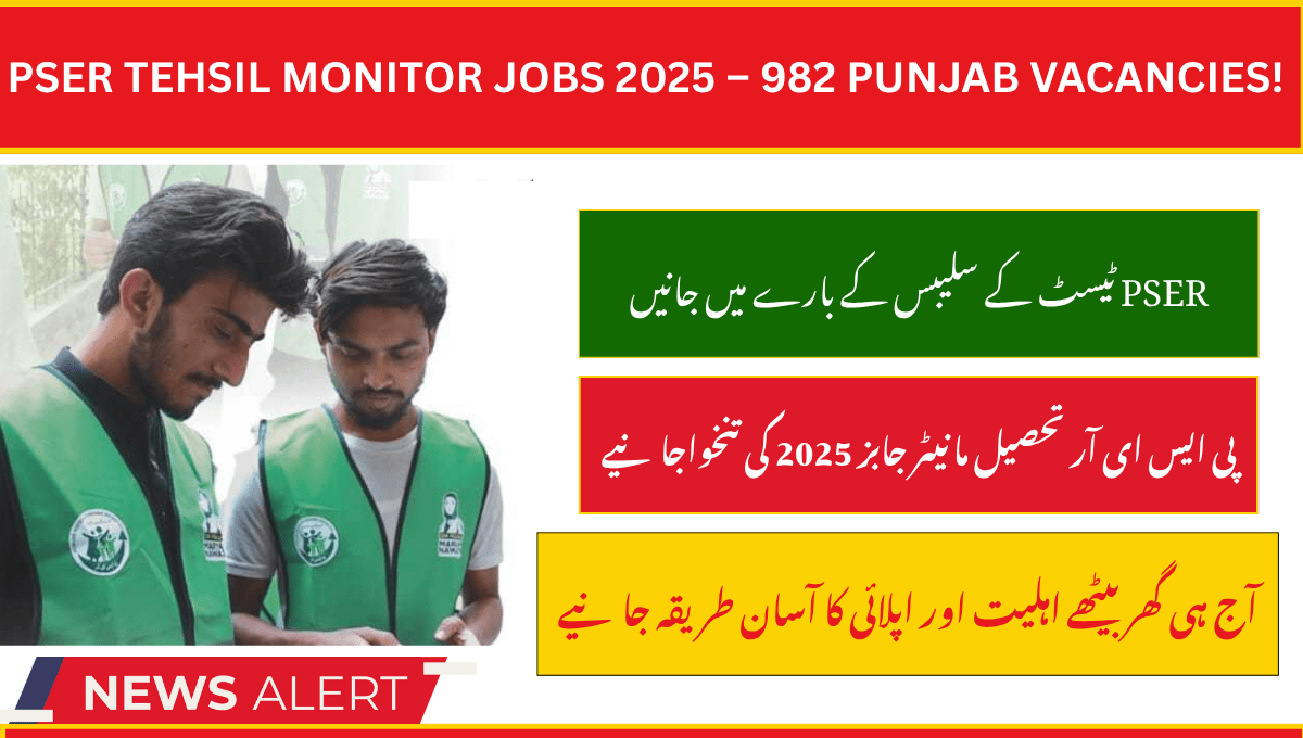PSER Tehsil Monitor Jobs 2025 – Apply Online