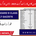 9th Class Result Gazette 2025 PDF Download
