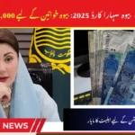 CM Punjab Bewa Sahara Card 2025