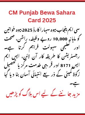 What is CM Punjab Bewa Sahara Card 2025