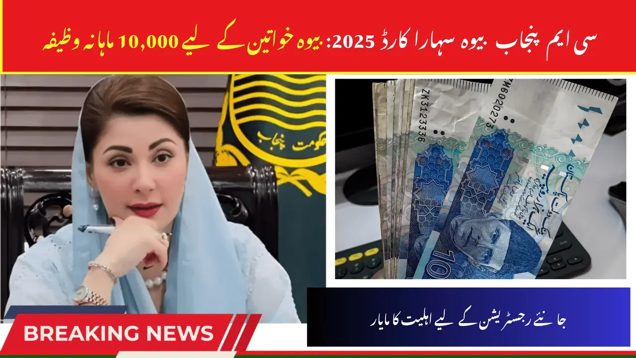 CM Punjab Bewa Sahara Card 2025