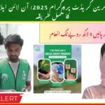 CM Punjab Green Credit Program 2025 – Apply Online & Login to Earn Rs. 100,000