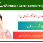 CM Punjab Green Credit Program 2025 Complete Eligibility Guide