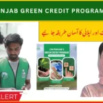 CM Punjab Green Credit Program 2025 Registration and Eligibility