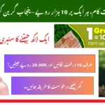 Earn Green Credits Worth Rs. 1 Lakh in CM Punjab Green Credit Program 2025