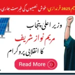 CM Punjab Solar Panel Scheme 2025 Balloting Results