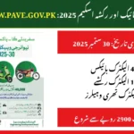 pave.gov.pk PM Electric Bike & Rickshaw Scheme 2025