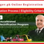 PAVE.gov.pk Online Registration 2025 Guide