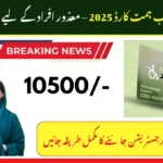 CM Punjab Himmat Card 2025 – Online Check and Registration
